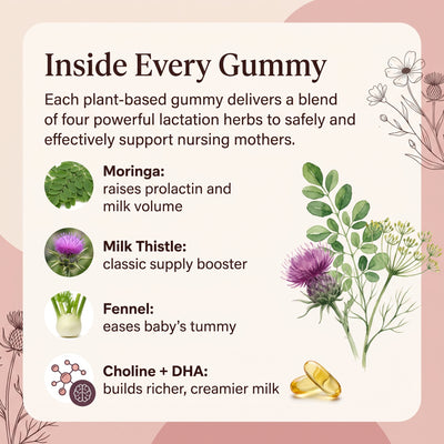 Maravell Lactation Gummies for Low Milk Supply